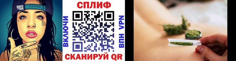 МЕФ Тбилисская