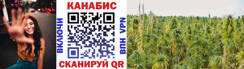 Бошки Шишки план  Тбилисская 